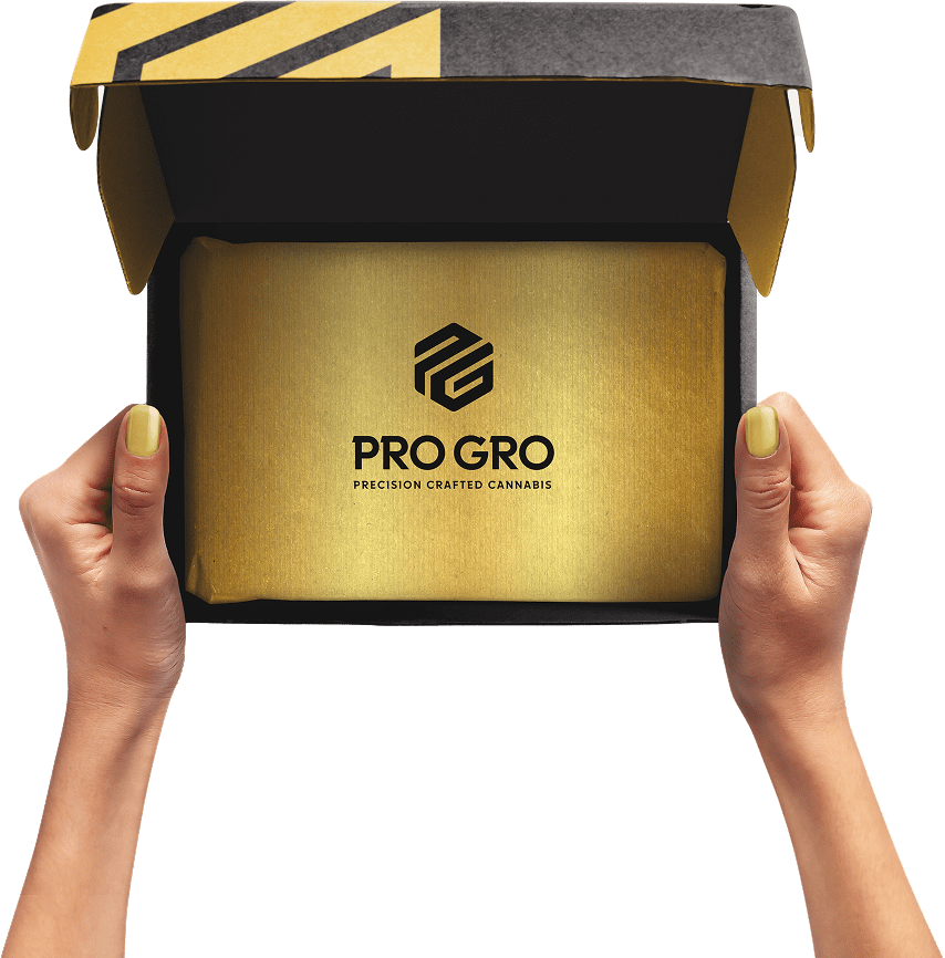 pro gro loyalty program box