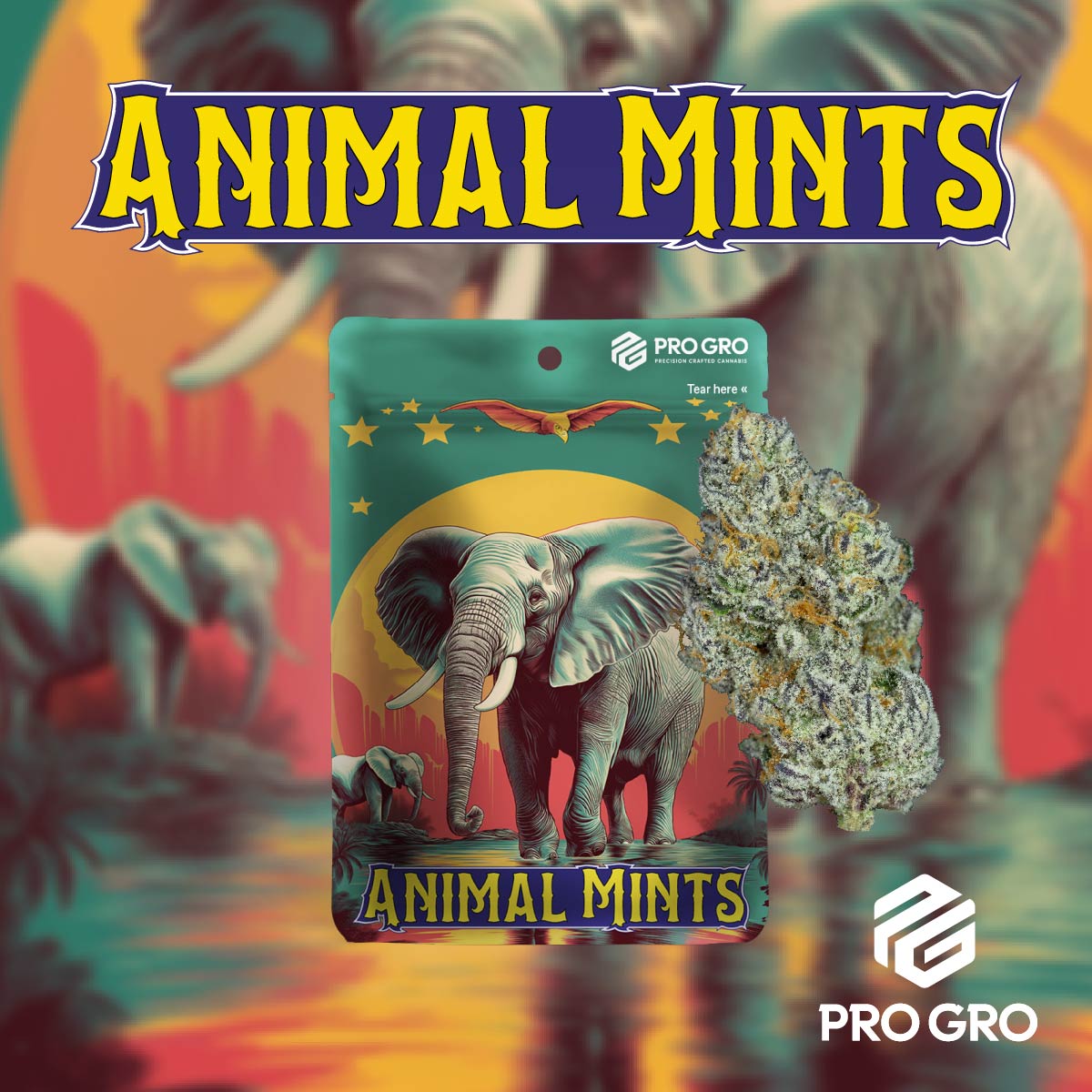 pro gro genetics animal mints weed strain