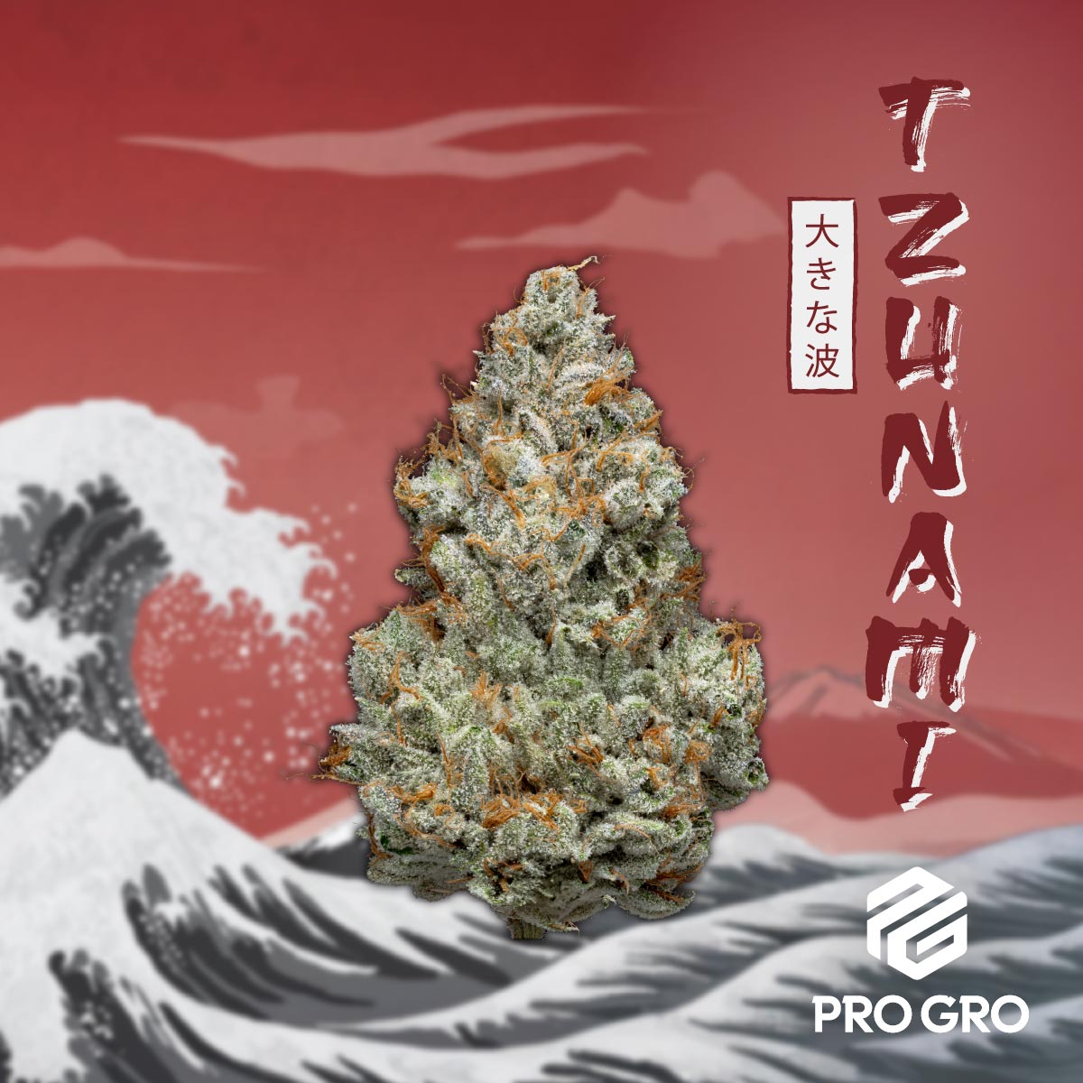 pro gro genetics tzunami weed strain nug flower