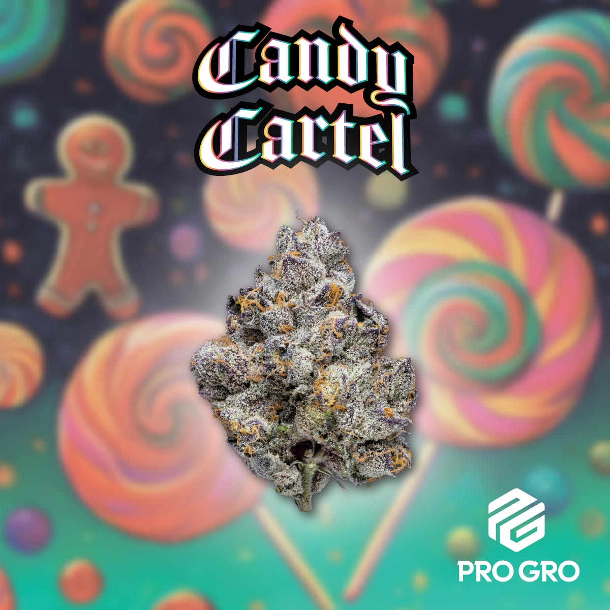 pro gro genetics candy cartel cannabis strain