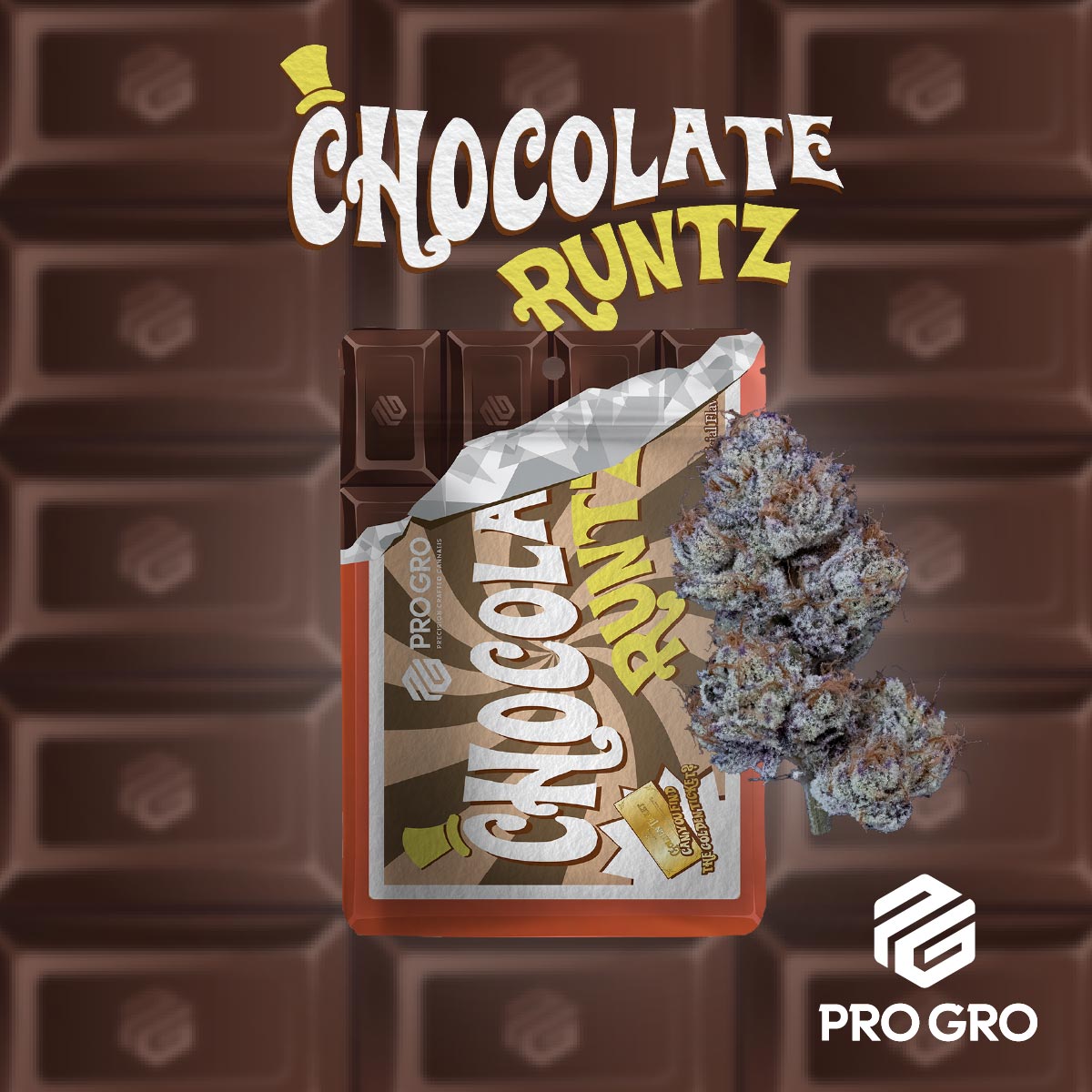 pro gro genetics chocolate runtz cannabis strain
