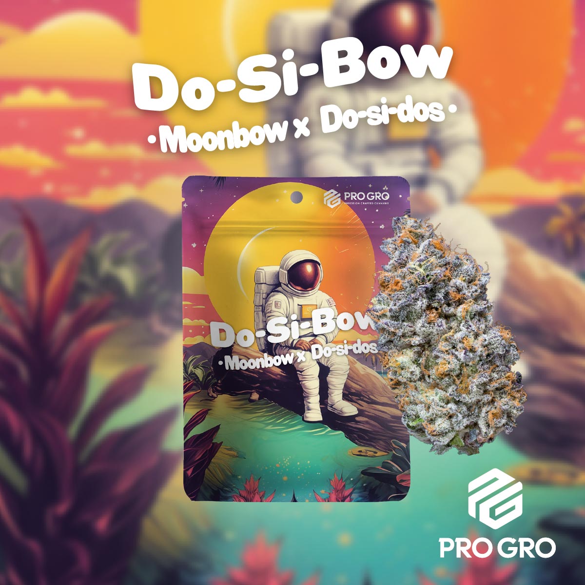 pro gro genetics do-si-bow cannabis strain eighth