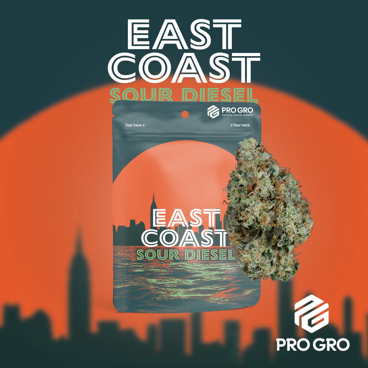 pro gro genetics east coast sour diesel cannabis strain eighth