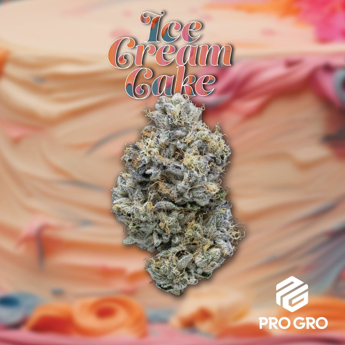 pro gro genetics ice cream cake cannabis strain nug