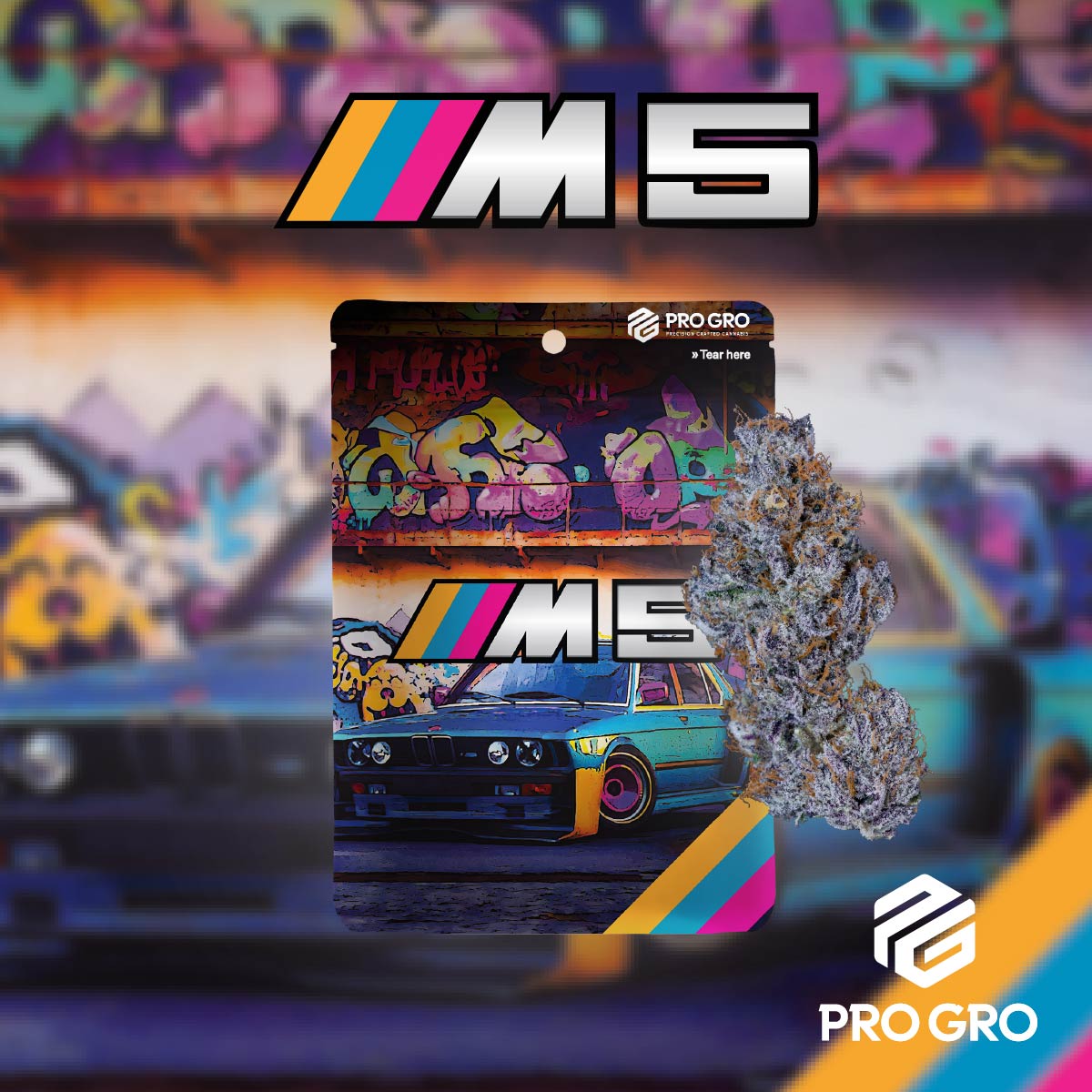 pro gro genetics m5 cannabis strain flower eighth