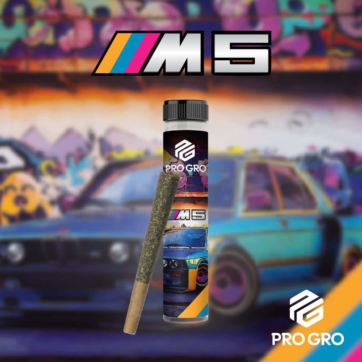 pro gro genetics m5 cannabis strain preroll