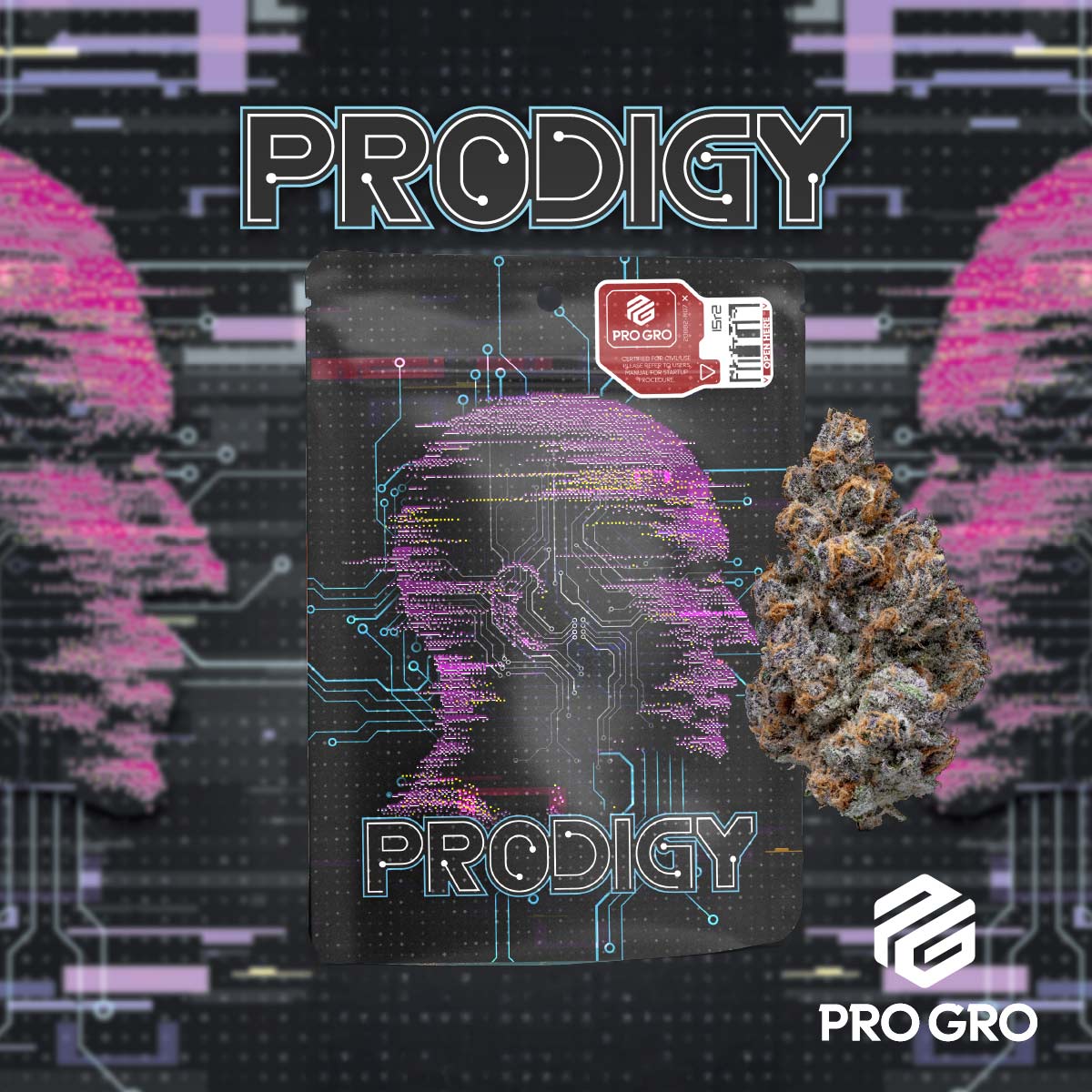 pro gro genetics pink guava weed strain eighth