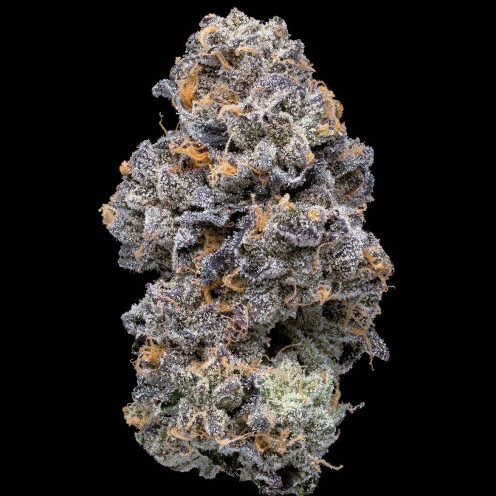 pro gro genetics moonmelon weed strain