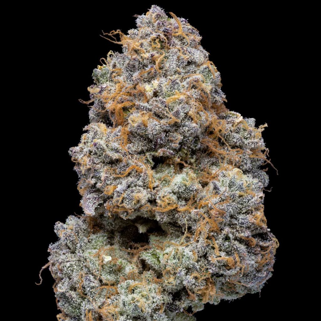 pro gro genetics jelly beltz cannabis strain