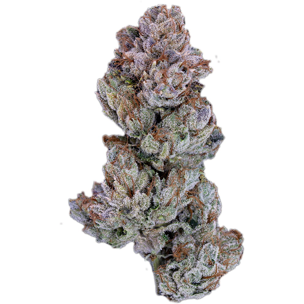 Close-up of a dense, frosty cannabis bud with purple hues, green flower, and bright orange pistils, featured by Pro Gro Cannabis in Lansing, Michigan.