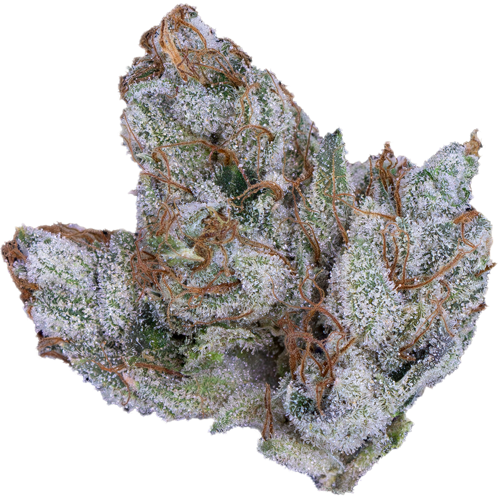 pro-gro-strain-genetics-motor-breath-2