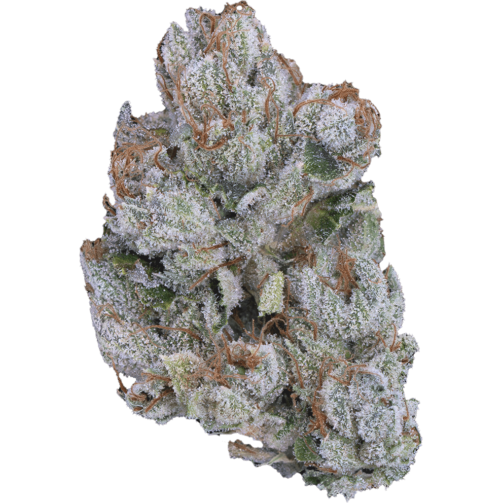 pro-gro-strain-genetics-motor-breath-3