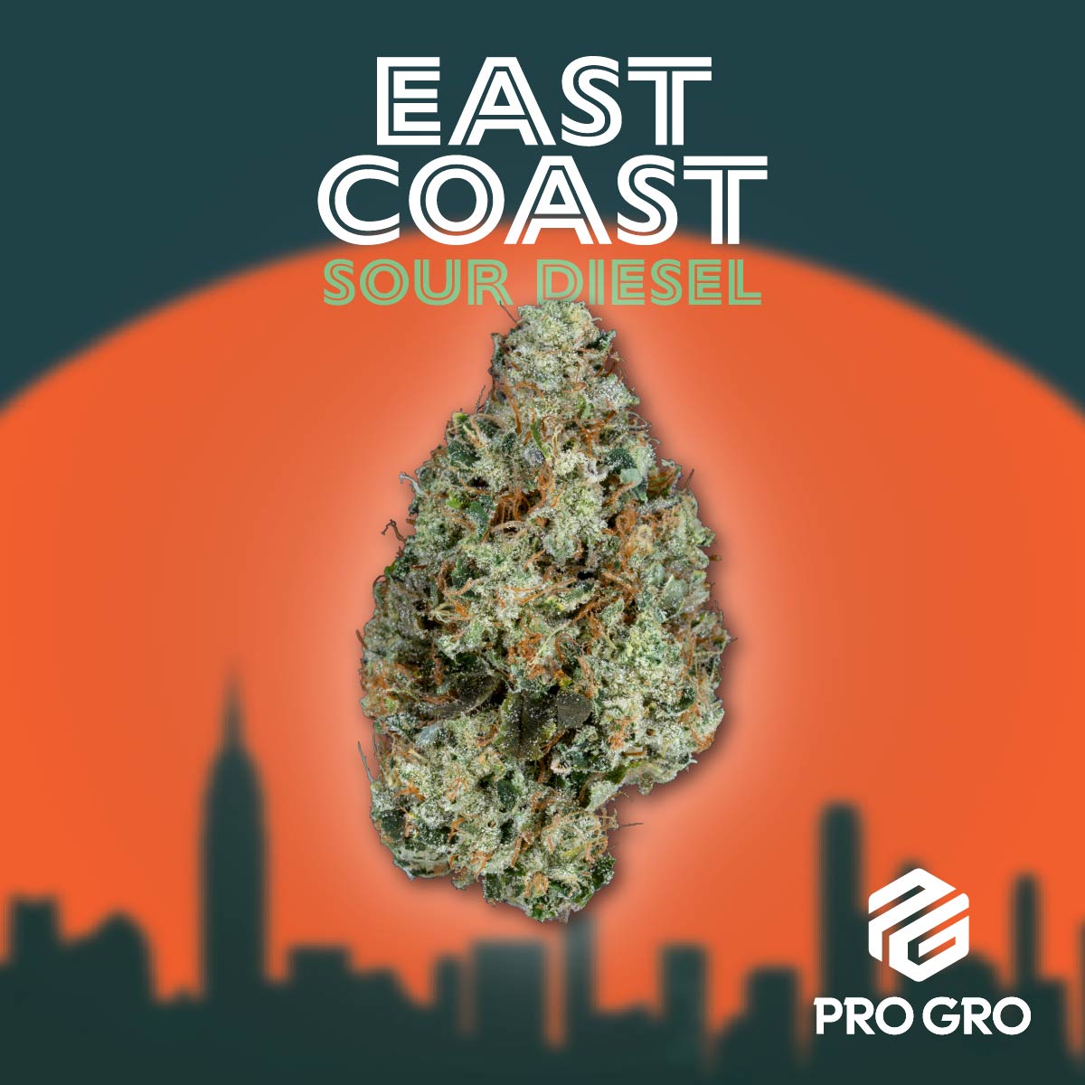 pro gro genetics east coast sour diesel cannabis strain